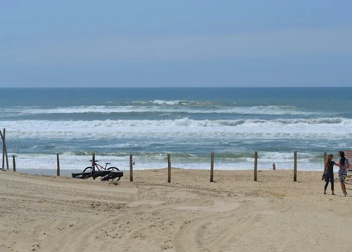 Oceanis 아파트